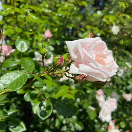 Saint Thomas Village 4*